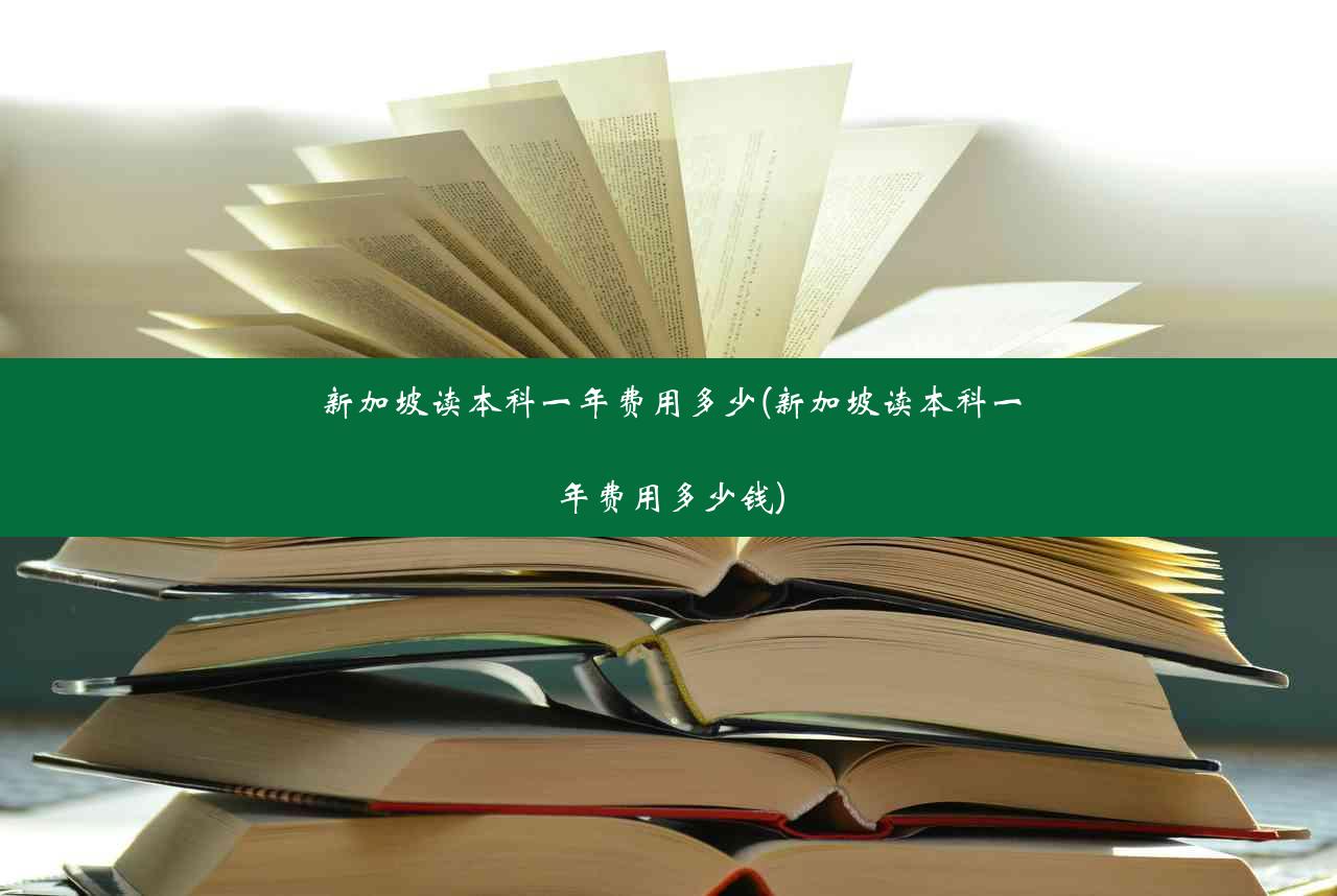 新加坡读本科一年费用多少(新加坡读本科一年费用多少钱)