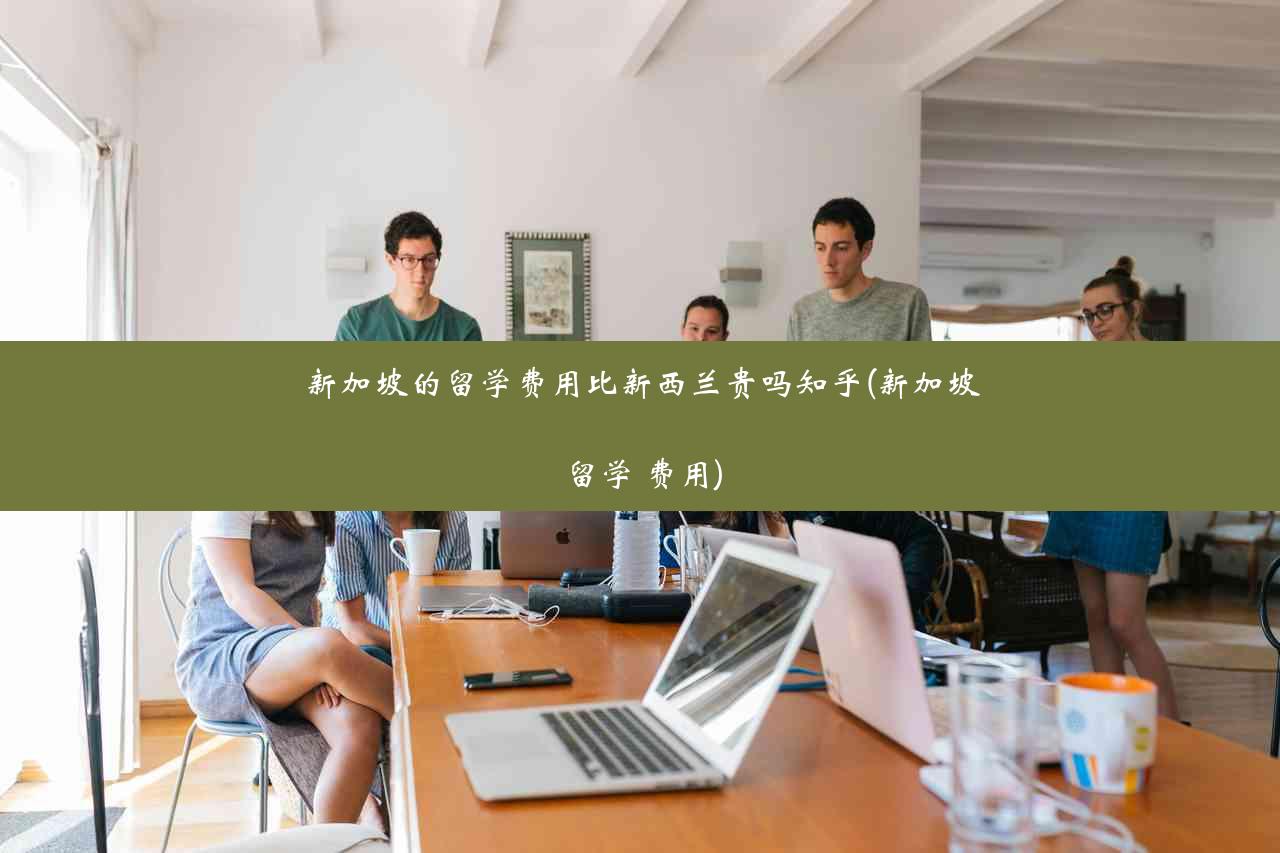 新加坡的留学费用比新西兰贵吗知乎(新加坡留学 费用)