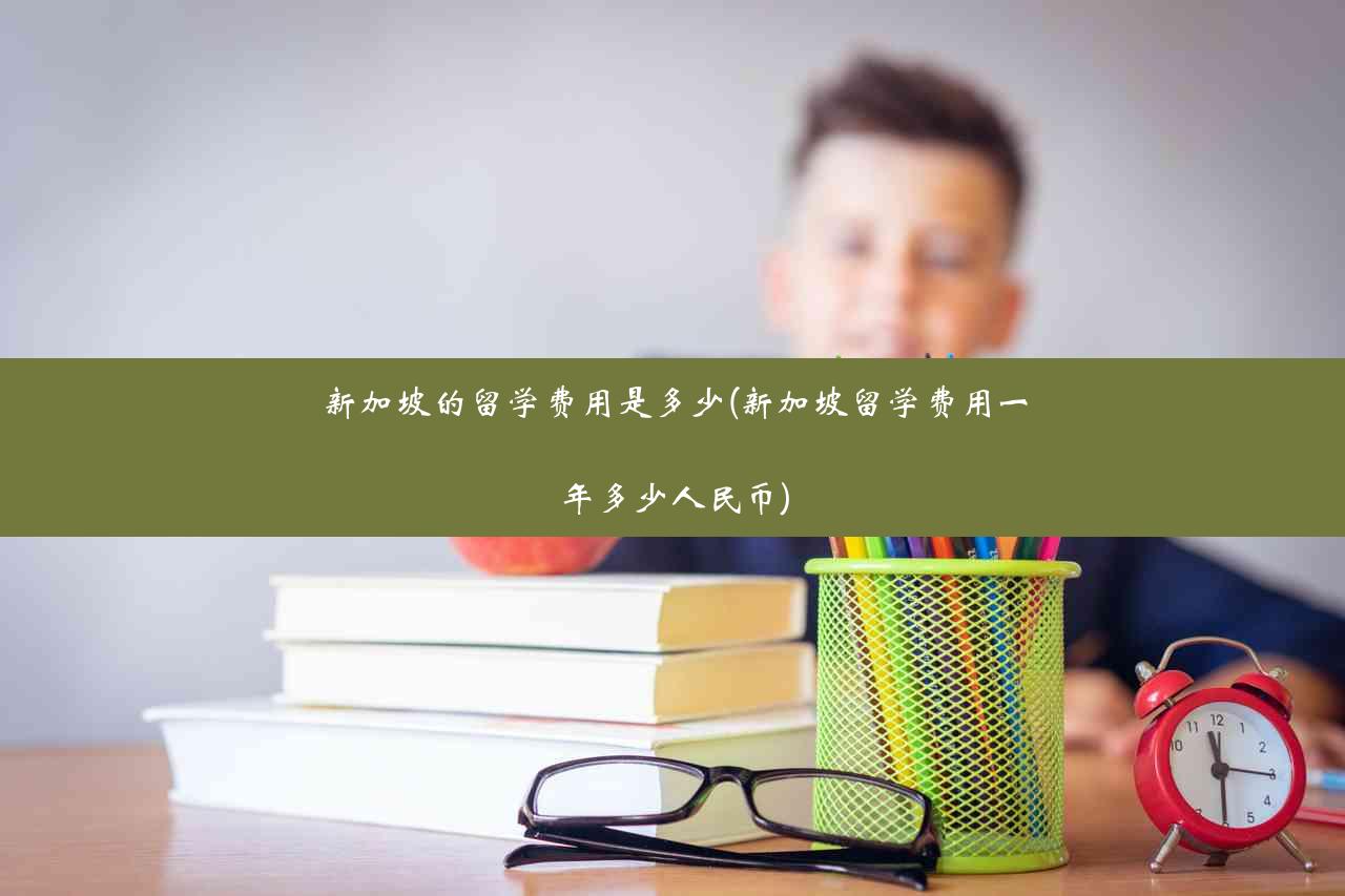 新加坡的留学费用是多少(新加坡留学费用一年多少人民币)